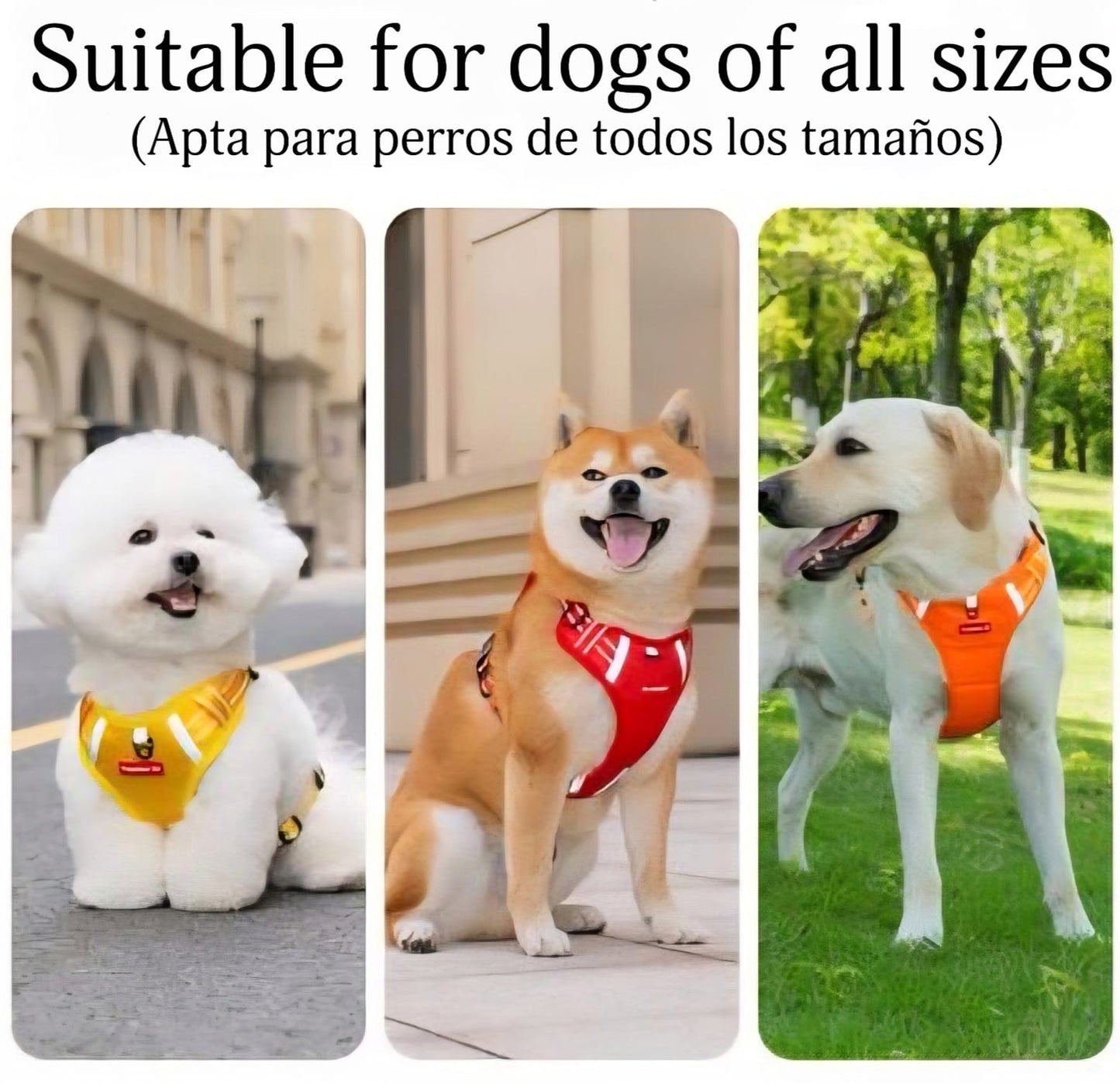 Comfort Dog Harness