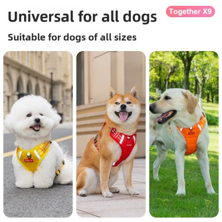 Comfort Dog Harness