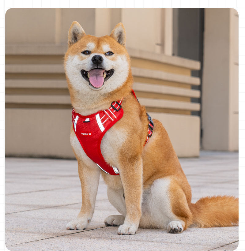 Comfort Dog Harness