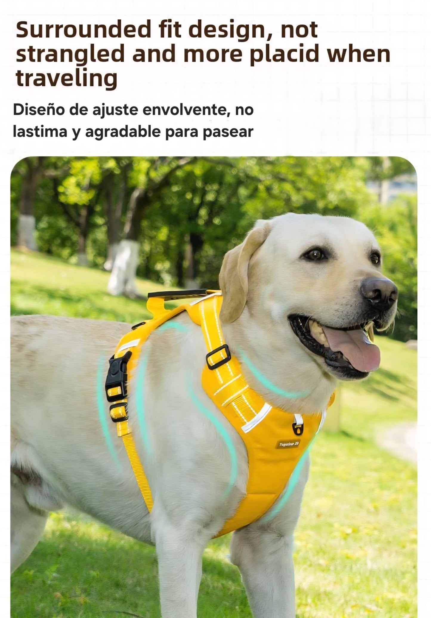 Comfort Dog Harness