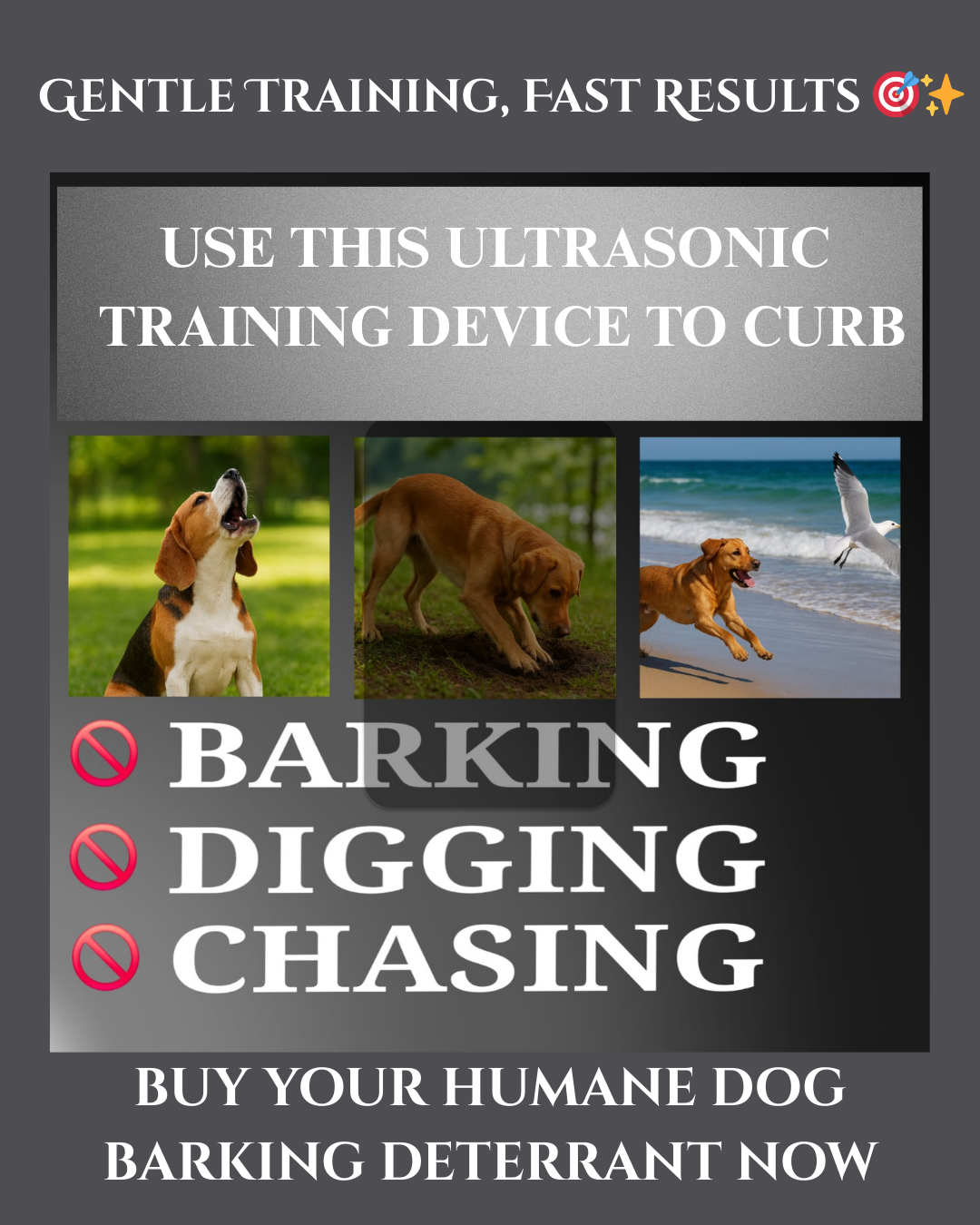 Ultrasonic Training Device
