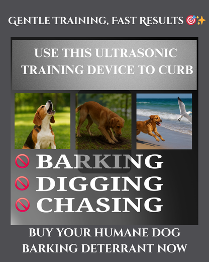 Ultrasonic Training Device